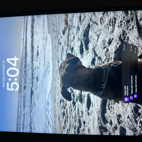 2022 IPad PRO 12.9 Inch 256GB - Picture 4 of 8